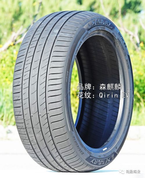 中國(guó)新能源輪胎外道超車(chē)